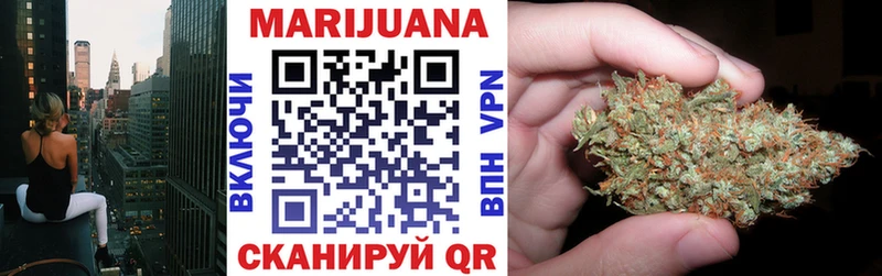мега как войти  Зуевка  darknet как зайти  Бошки Шишки сатива 